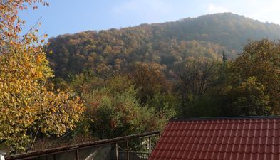 Вашловани_7